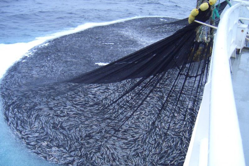 Fishing Nets and Ropes in Tamil Nadu