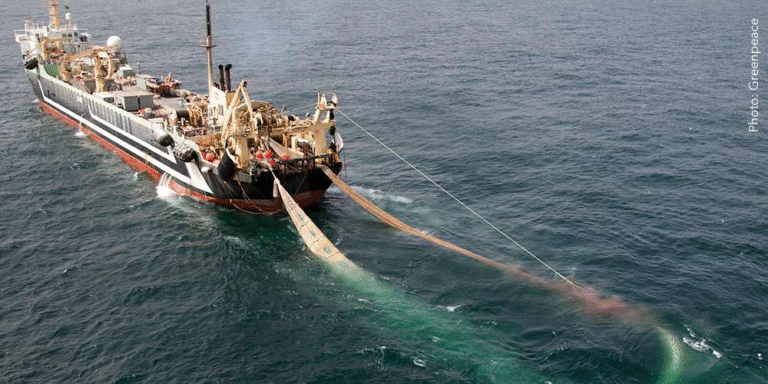Super Trawl Net in Tamil Nadu