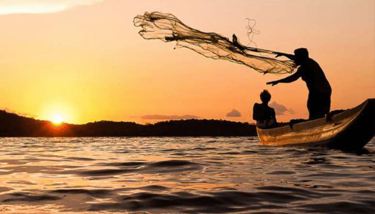 Best Fishing Nets in Tamil Nadu