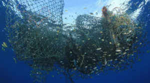 No. 1 Fishing Net Manufacturer in Tamil Nadu