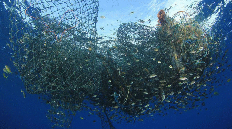 No. 1 Fishing Net Manufacturer in Tamil Nadu